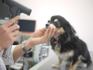 ひがしやま動物病院のイメージ4