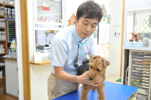 小鷹野どうぶつ病院のイメージ2