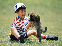 ヨコイ動物病院写真